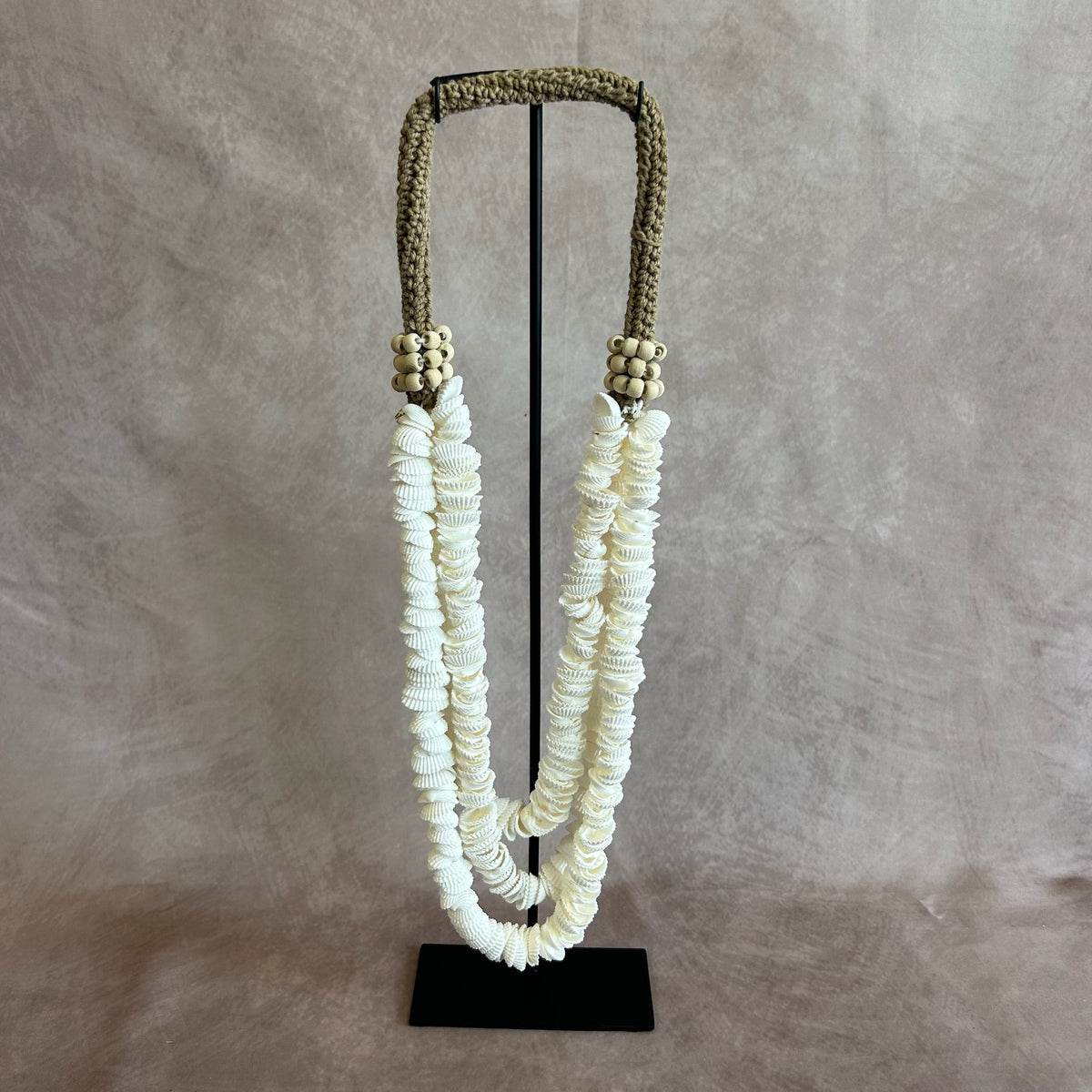Collier de coquillage sur socle CANDRA