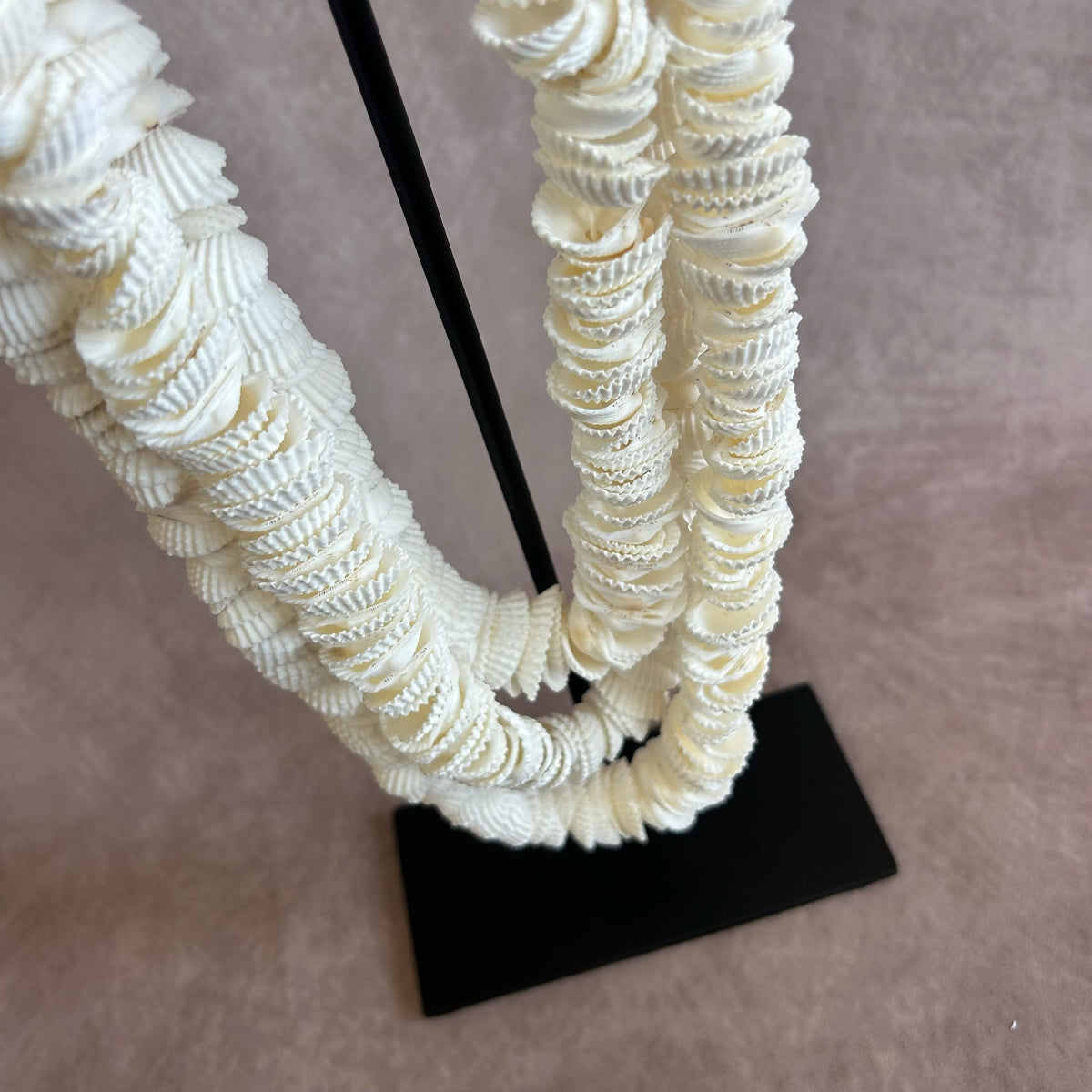Collier de coquillage sur socle CANDRA
