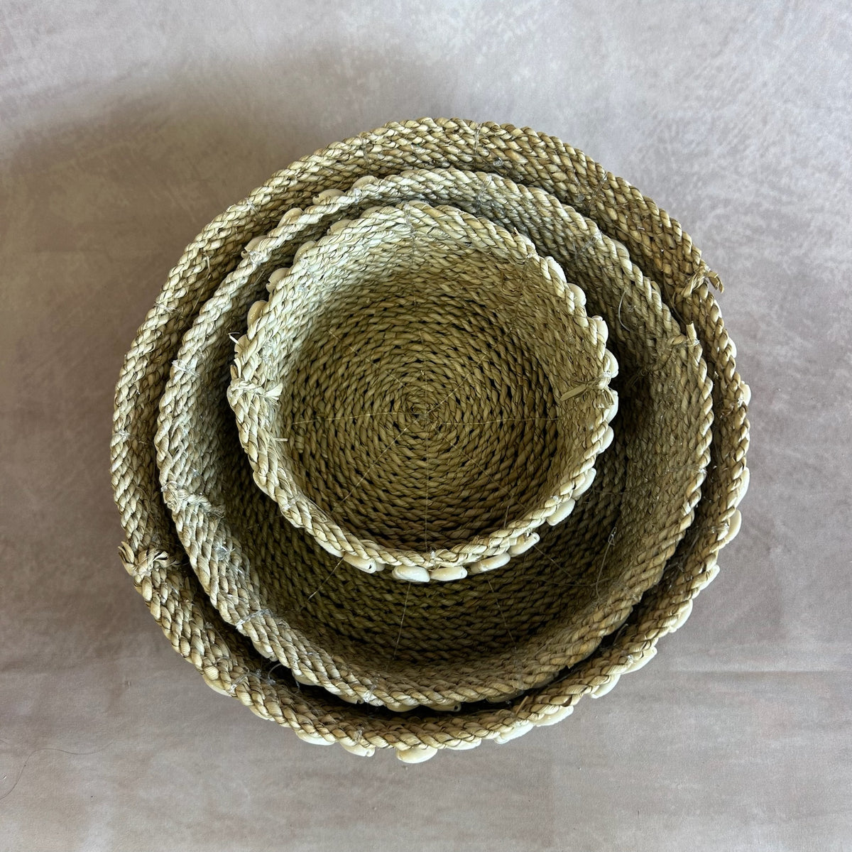 Panière de coquillages LEMBUT Version 3